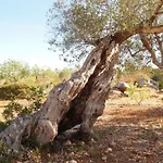 Quinta Da Roma Olhao