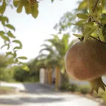 别墅 Quinta Da Roma 奥良