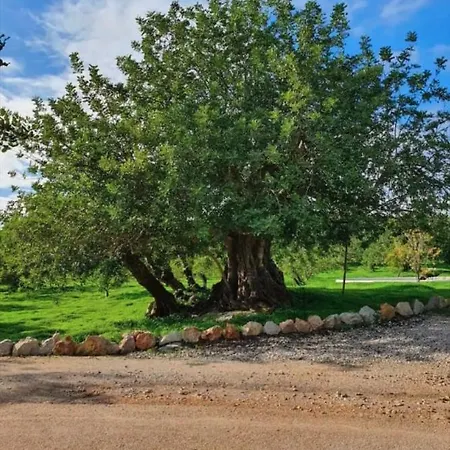 Villa Quinta Da Roma *