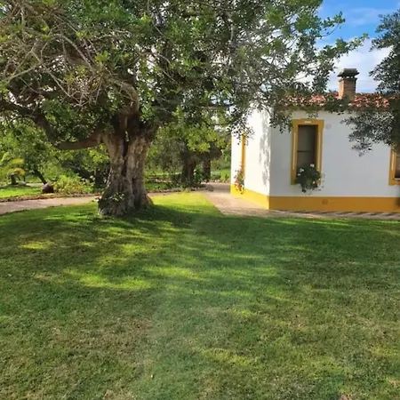 Quinta Da Roma Villa *