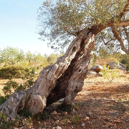 Quinta Da Roma Villa Olhao