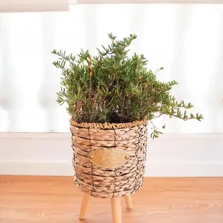 Quinta Da Roma 빌라 *