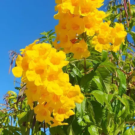 빌라 Quinta Da Roma 오양